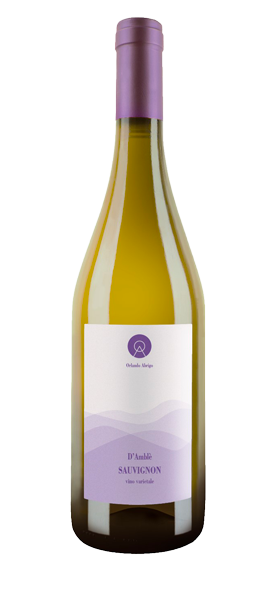 "D'Amblé" Sauvignon Langhe DOC 2021