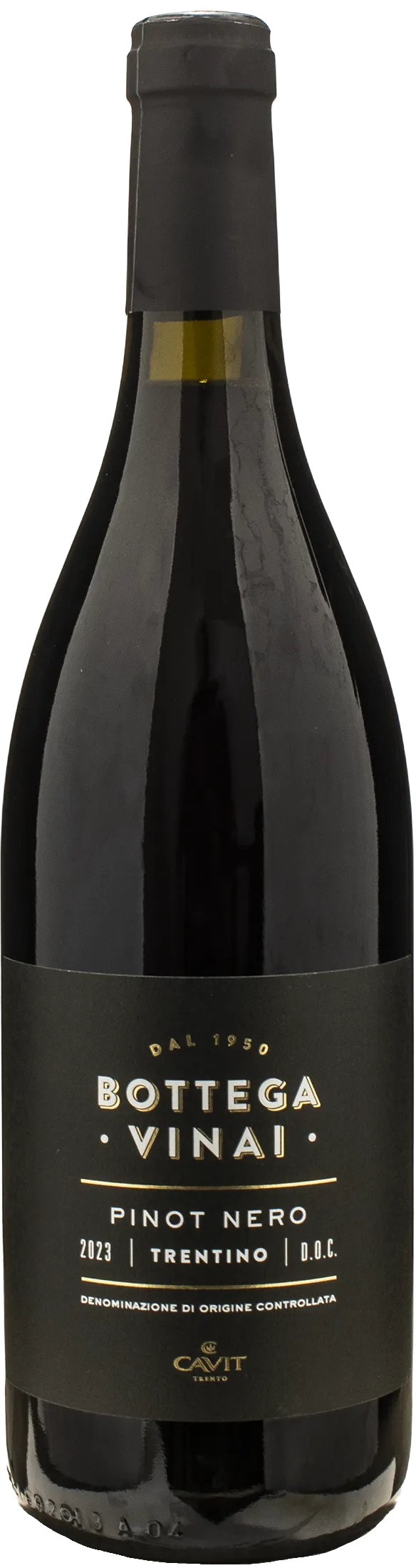 Bottega Vinai Pinot Nero Trentino