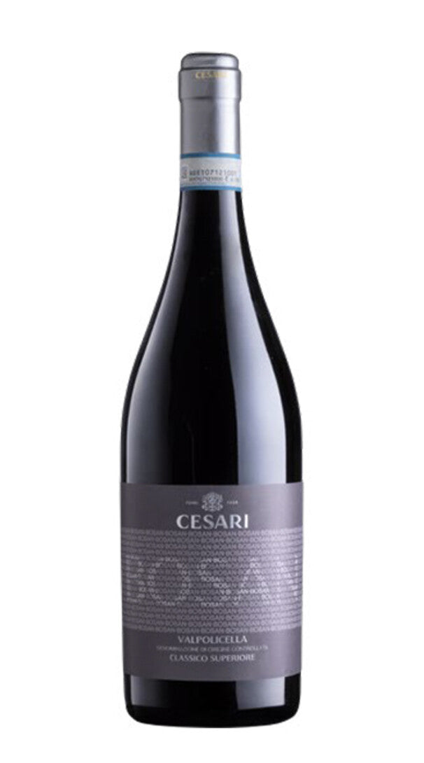 Valpolicella Classico Superiore 'Bosan' Cesari