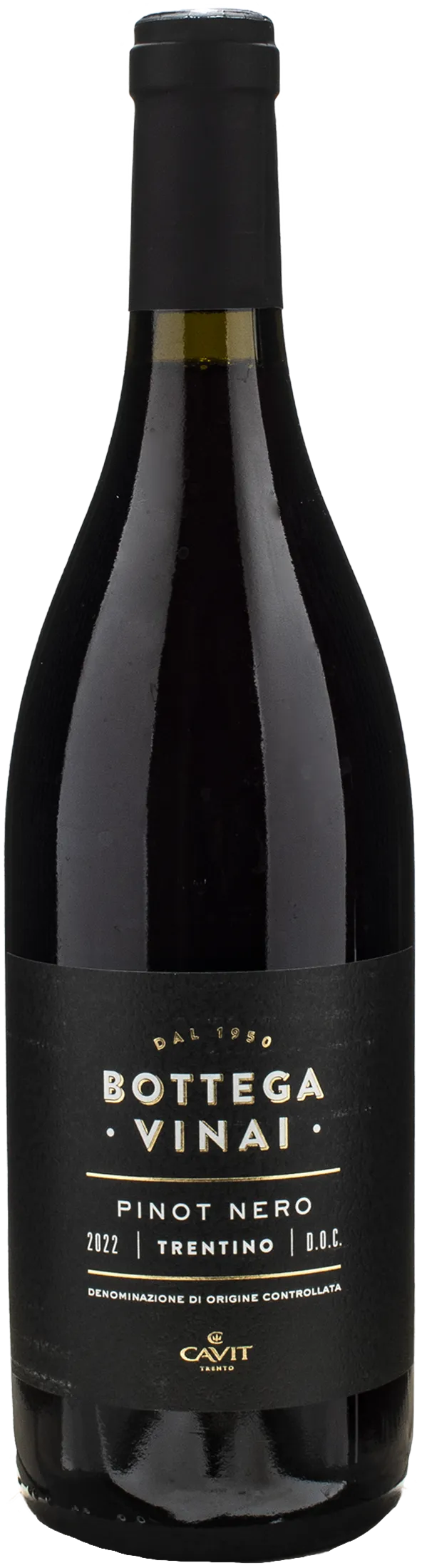 Bottega Vinai Pinot Nero Trentino