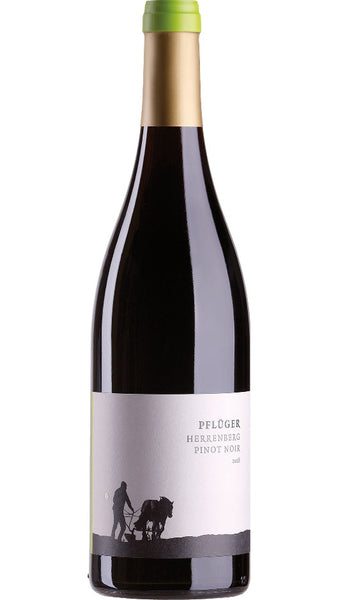Ungsteiner Herremberg GL Pinot Noir Palatinate