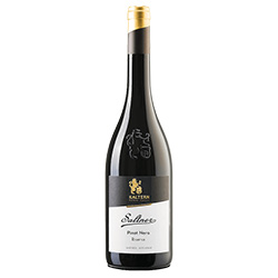 Cantina Caldaro Saltner Südtirol - Alto Adige Pinot Nero Riserva DOC 2022
