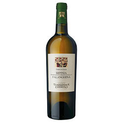 Terredora Corte di Giso Irpinia DOC Falanghina 2024 0,75 ℓ