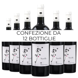Confezione 12 bt Novello Negroamaro Salento IGT