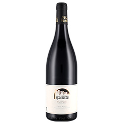 Südtirol - Alto Adige Pinot Nero DOC Filari di Mazzon Carlotto