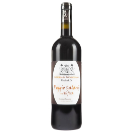 Poggio Galardi in Anfora Rosso Toscana IGT