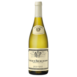 Louis Jadot Côteaux Bourguignons AOC Blanc 2024 0,75 ℓ