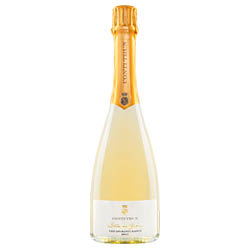 Vino Spumante Brut Bolle di Gioia