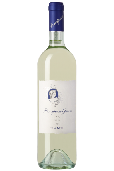 Gavi Principessa Gavia