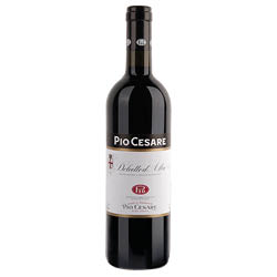 Dolcetto d'Alba
