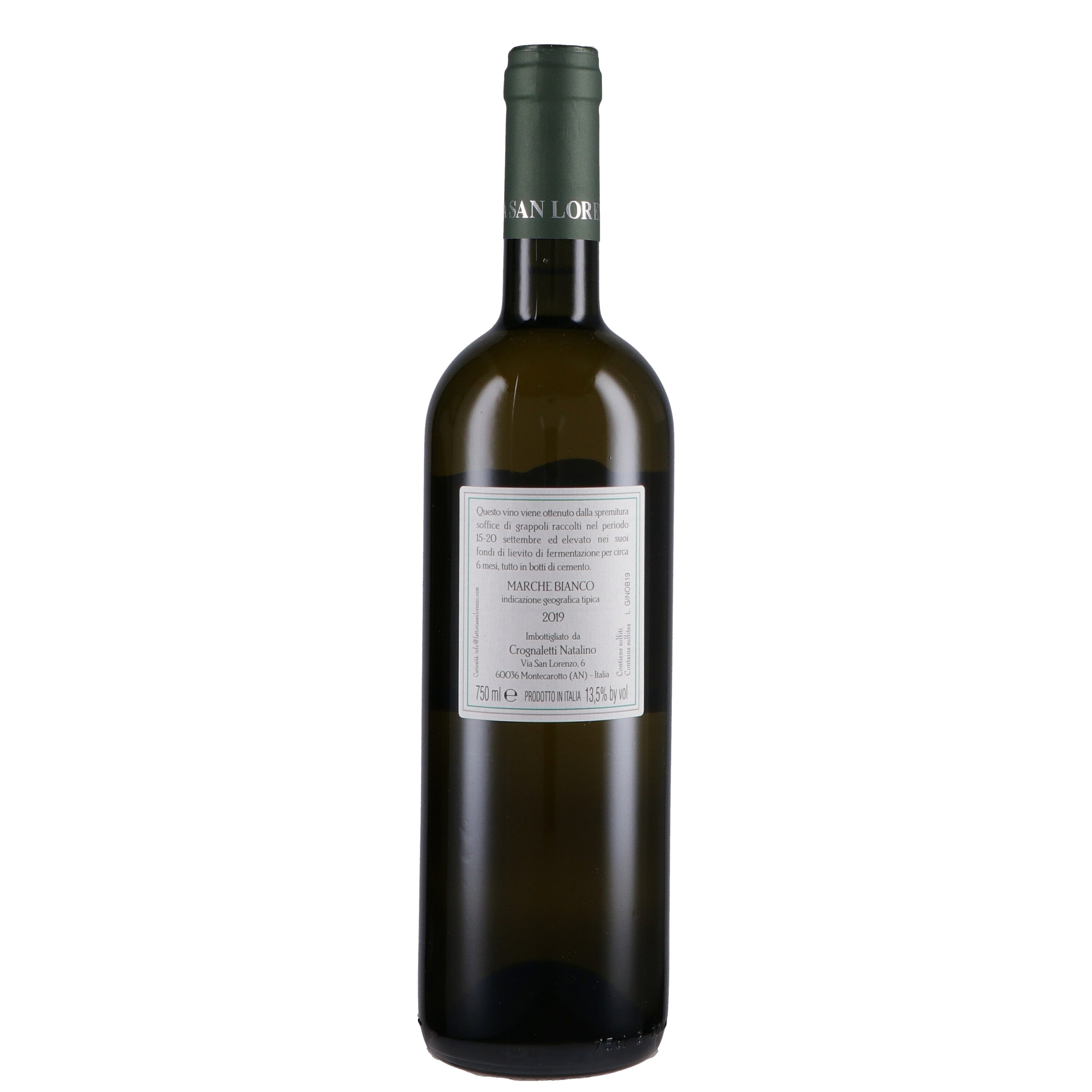 Marche Bianco IGT di Gino