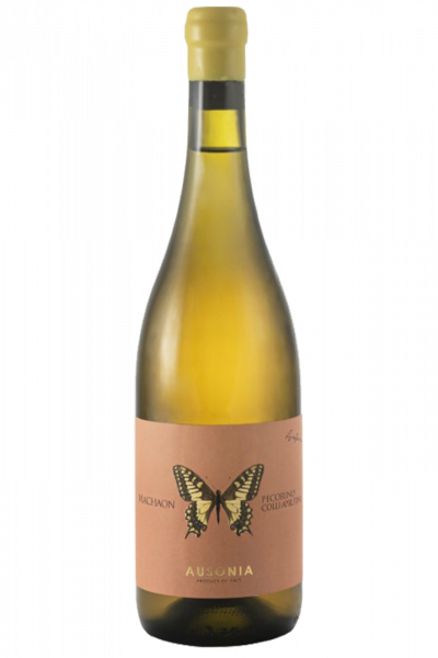 Pecorino Machaon Anfora Ausonia