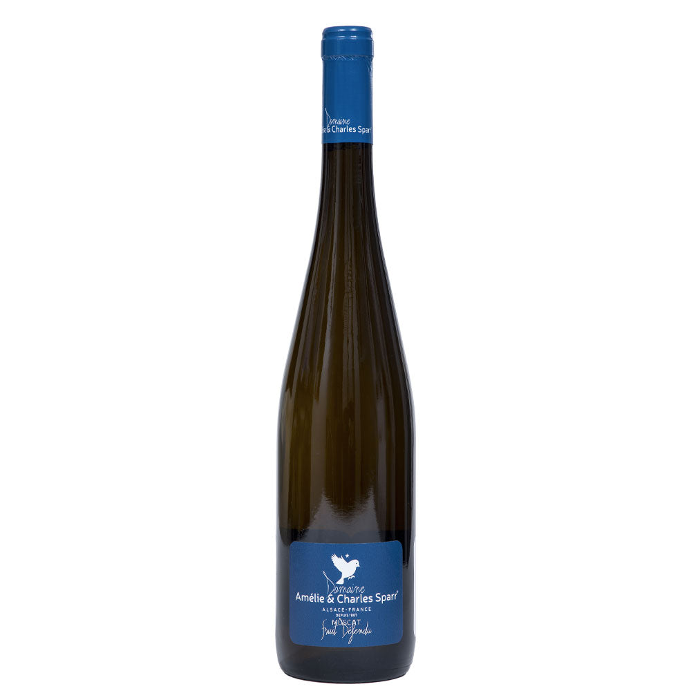 Alsace Muscat AOP Fruit Défendu