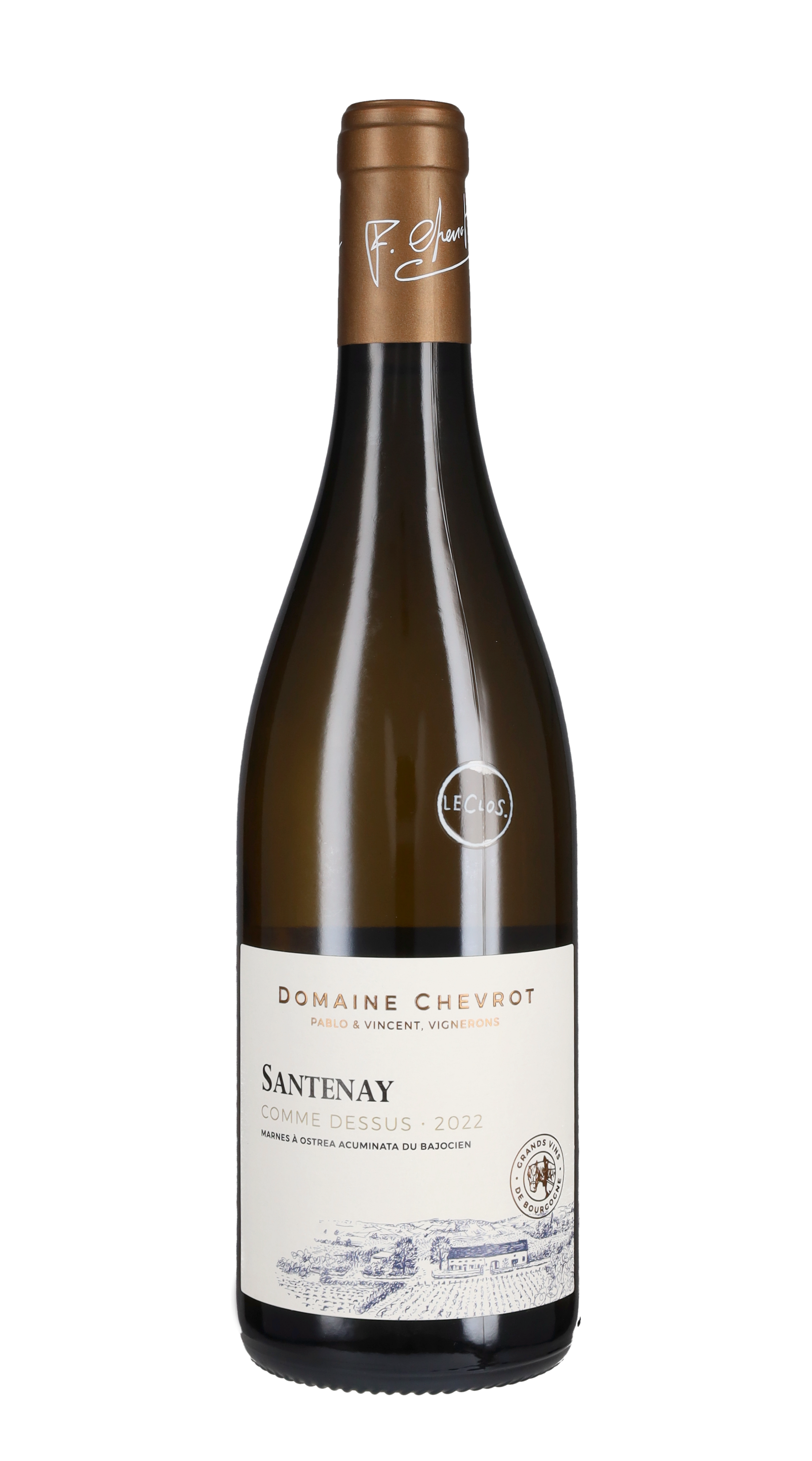 Santenay Blanc 'Comme Dessus' Domaine Chevrot