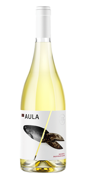 Macebeo Sauvignon Blanc 2024