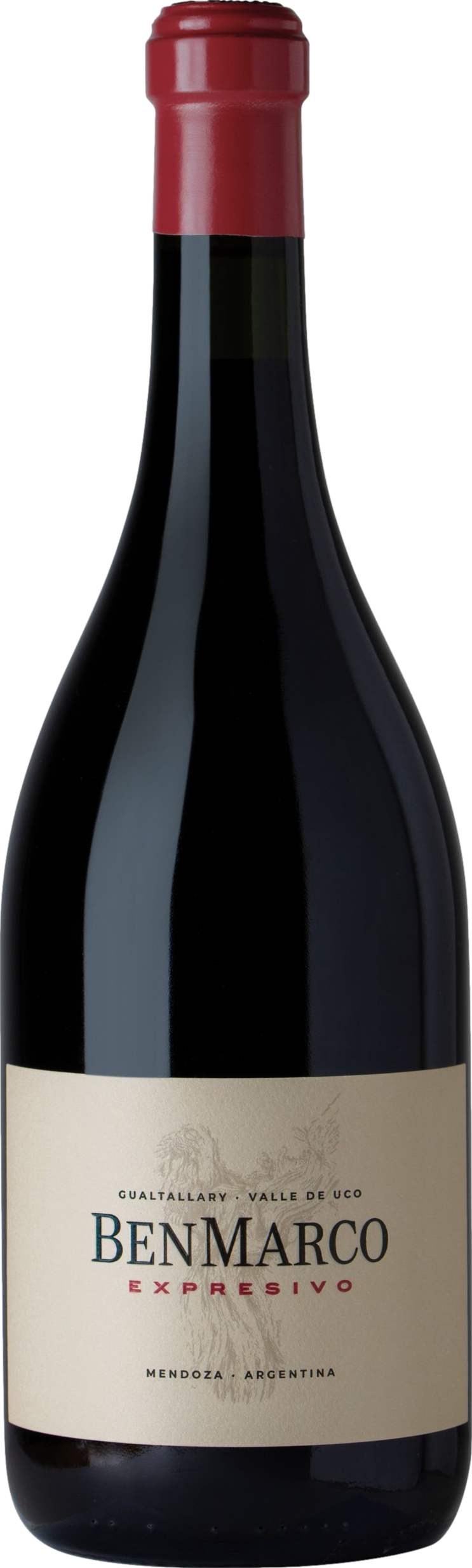 Susana Balbo BenMarco Expresivo 2022