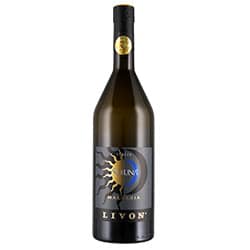 Collio Malvasia Soluna
