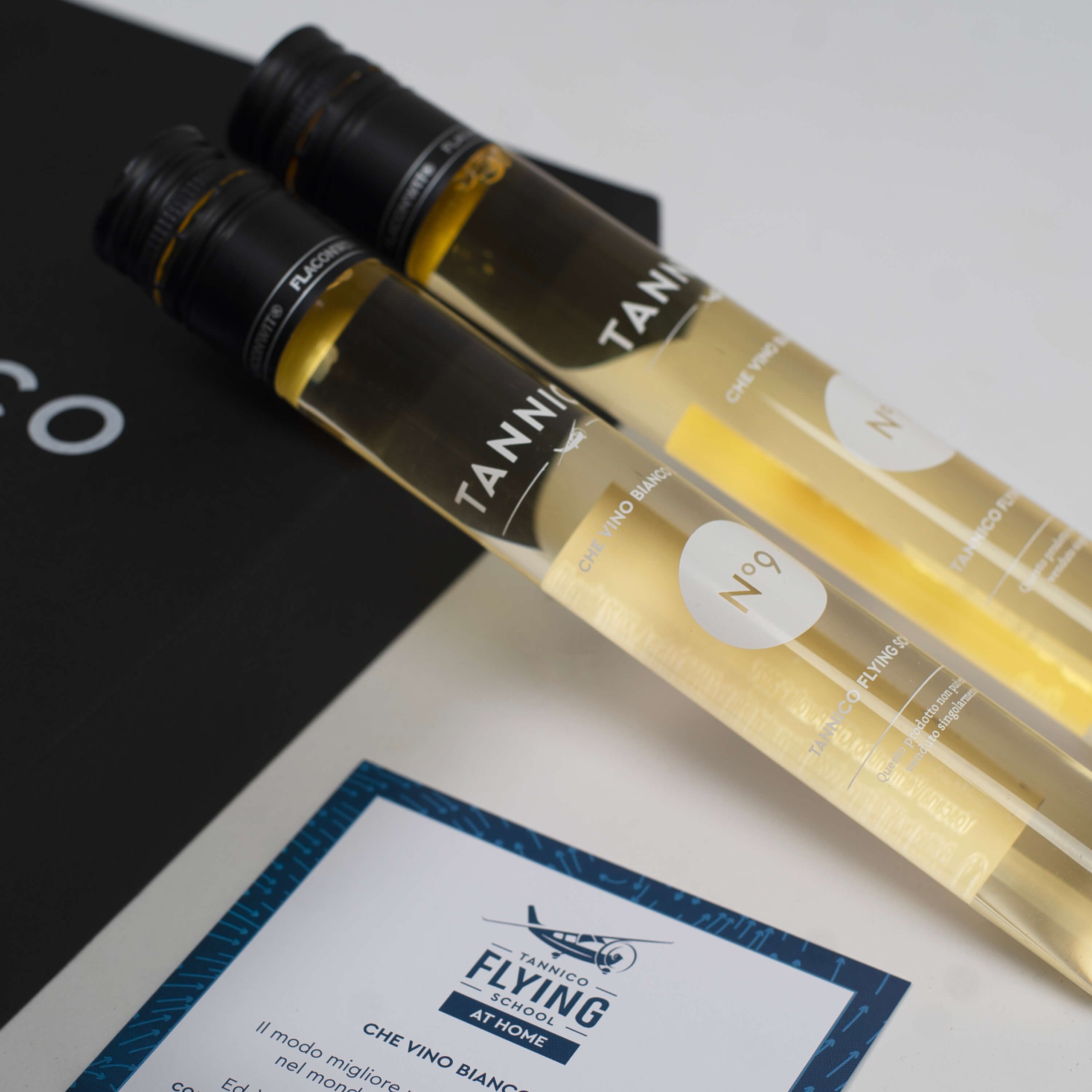 Tannico Flying School at Home