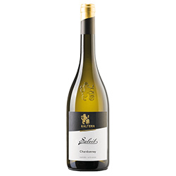 Südtirol - Alto Adige Chardonnay Saleit