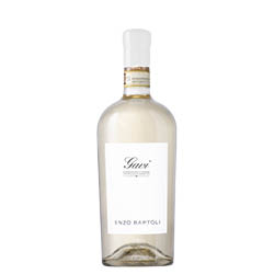 Gavi