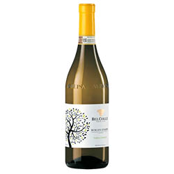 Bel Colle Turna Lunga Moscato d'Asti DOCG 2025 0,75 ℓ
