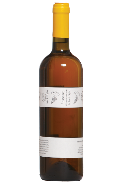 Maremma Toscana Ansonaco Vigneto Altura