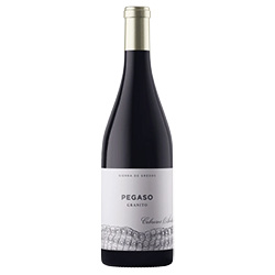 Telmo Rodríguez Pegaso Granito Cebreros DOP 2022 0,75 ℓ