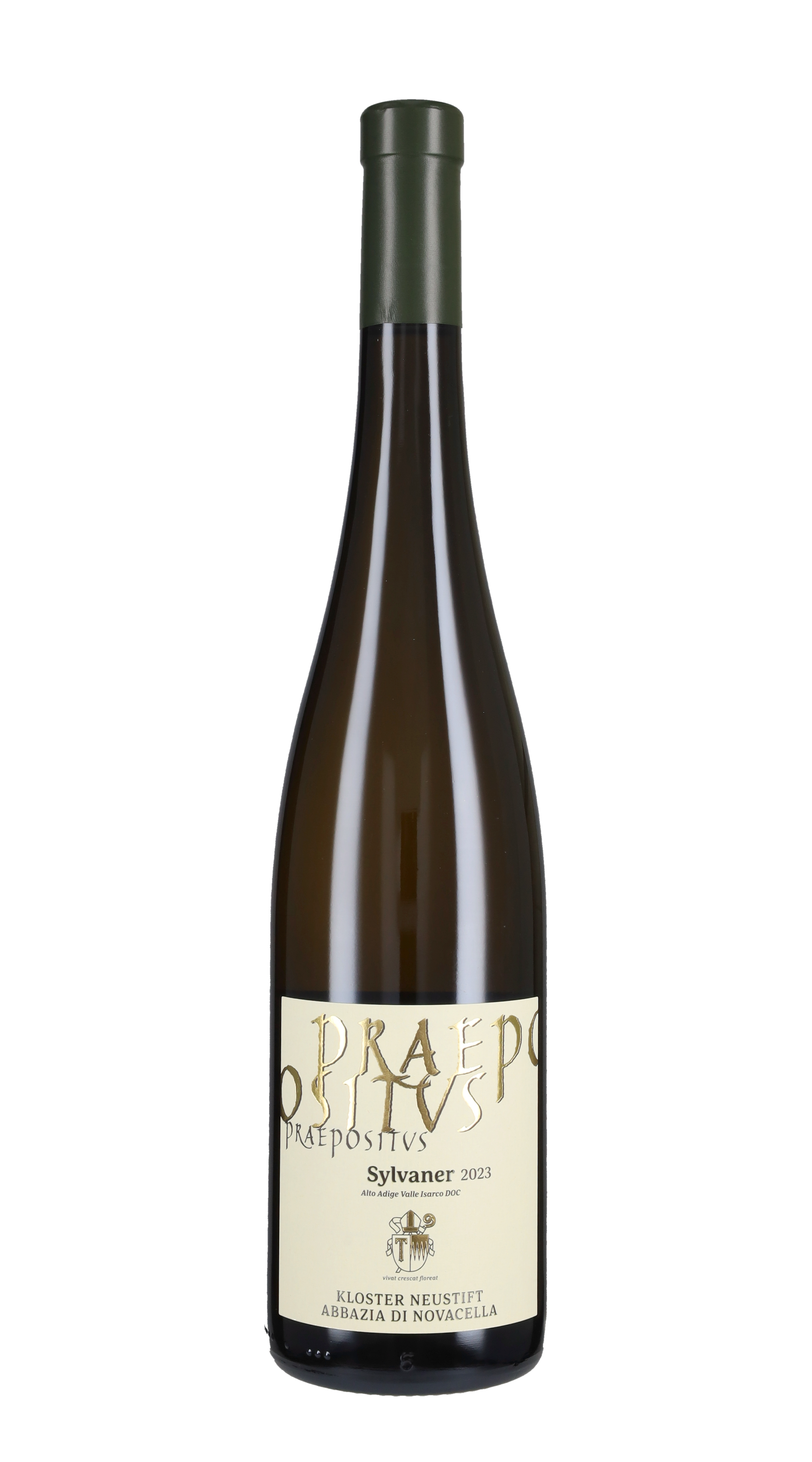 Sylvaner 'Praepositus'