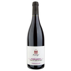 Murgo Pinot Nero Tenuta San Michele Terre Siciliane IGT 2021 0,75 ℓ