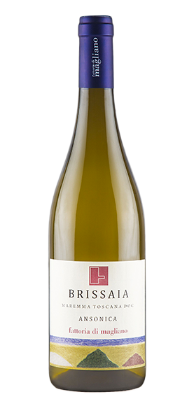 "Brissaia" Ansonica Maremma Toscana DOC 2024