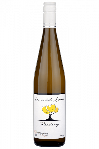 Riesling Lame Del Sorbo Vinica 2024