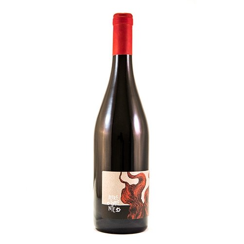 Colli Tortonesi Barbera Superiore DOC