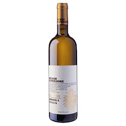 Collio Ribolla Gialla