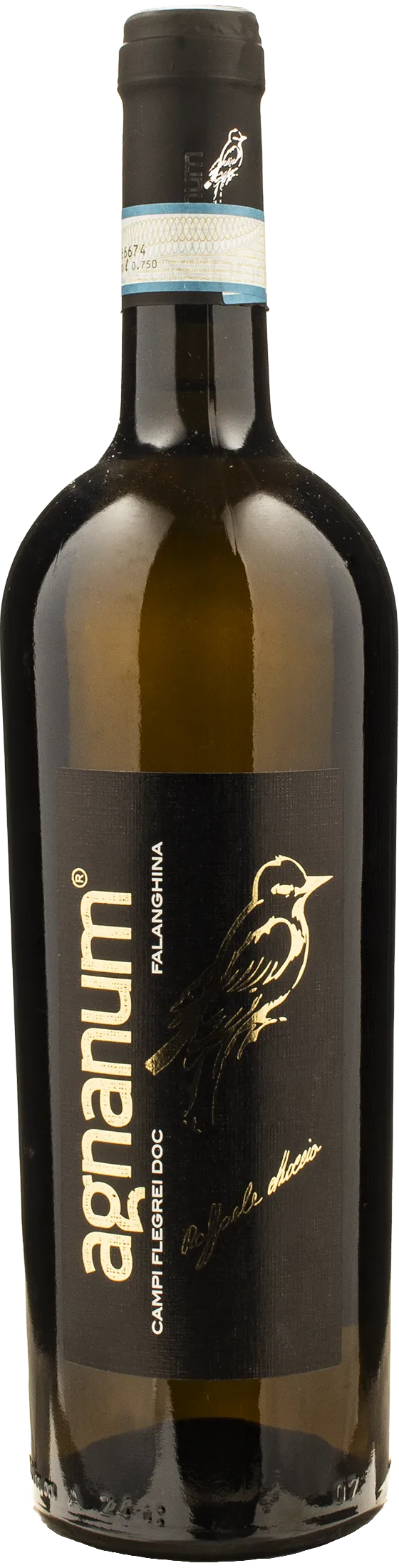 Campi Flegrei Falanghina