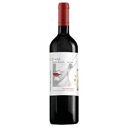 Abbazia Santa Anastasia Il Gusto Sicilia DOC Nero d'Avola 2022 0,75 ℓ