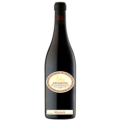 Amarone della Valpolicella Anfora