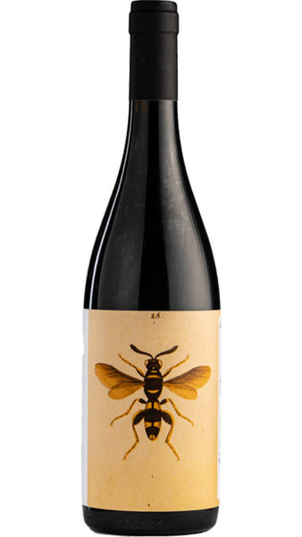 Il Sangiovese Romagna Sangiovese