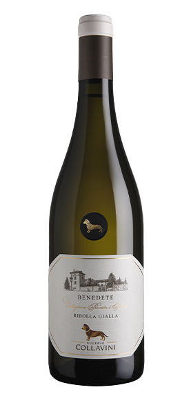 "Benedete" Ribolla Gialla IGT 2024
