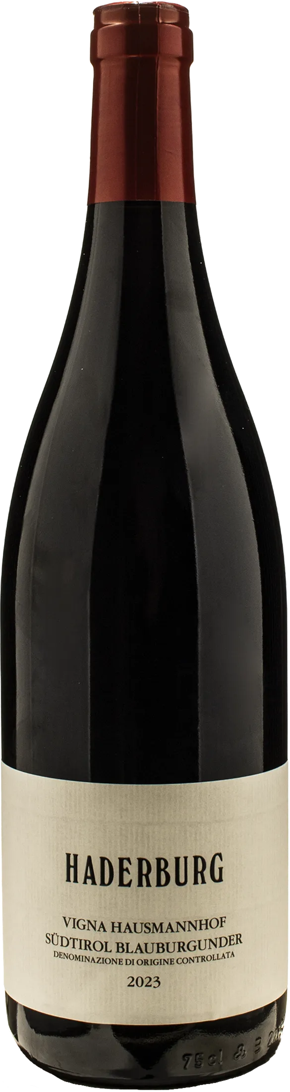 Blauburgunder Hausmannhof