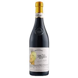 Langhe Rosso Pietra Magica Stupore