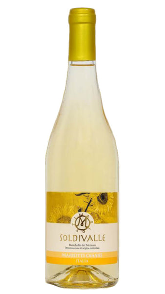Bianchello del Metauro DOC - Soldivalle