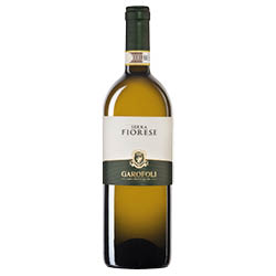 Verdicchio dei Castelli di Jesi Classico Riserva Serra Fiorese