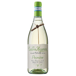 Zaccagnini Il Tralcetto Abruzzo Pecorino DOC 2025 0,75 ℓ