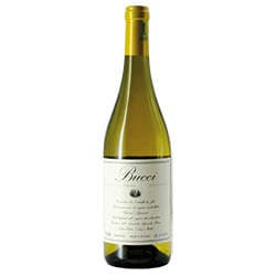 Verdicchio dei Castelli di Jesi Classico Superiore