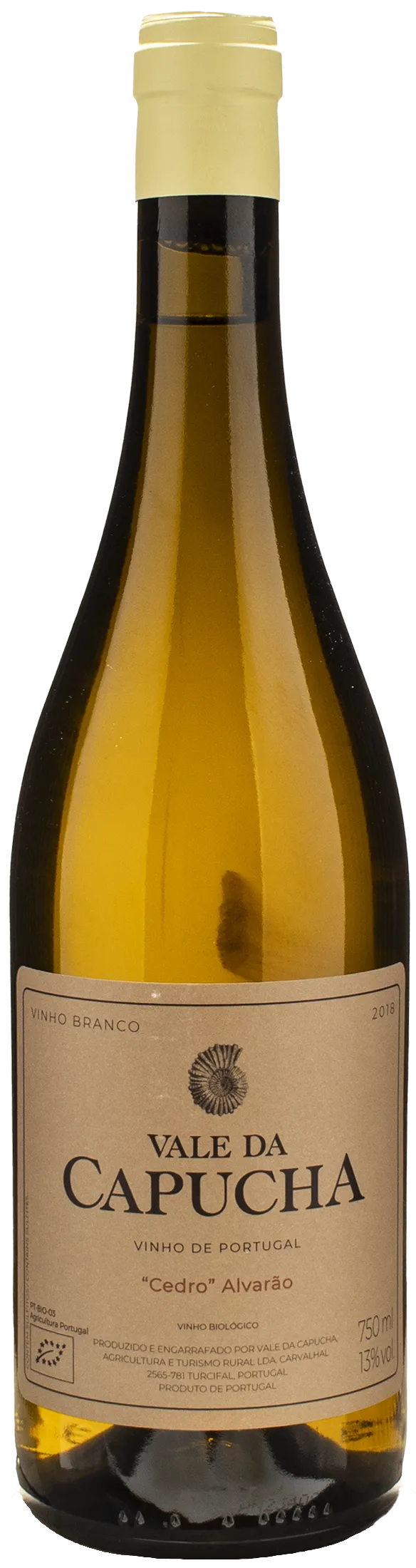 Cedro Alvarao