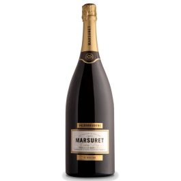 Prosecco Valdobbiadene Superiore DOCG Extra Dry Il Soler MAGNUM 1,5 lt