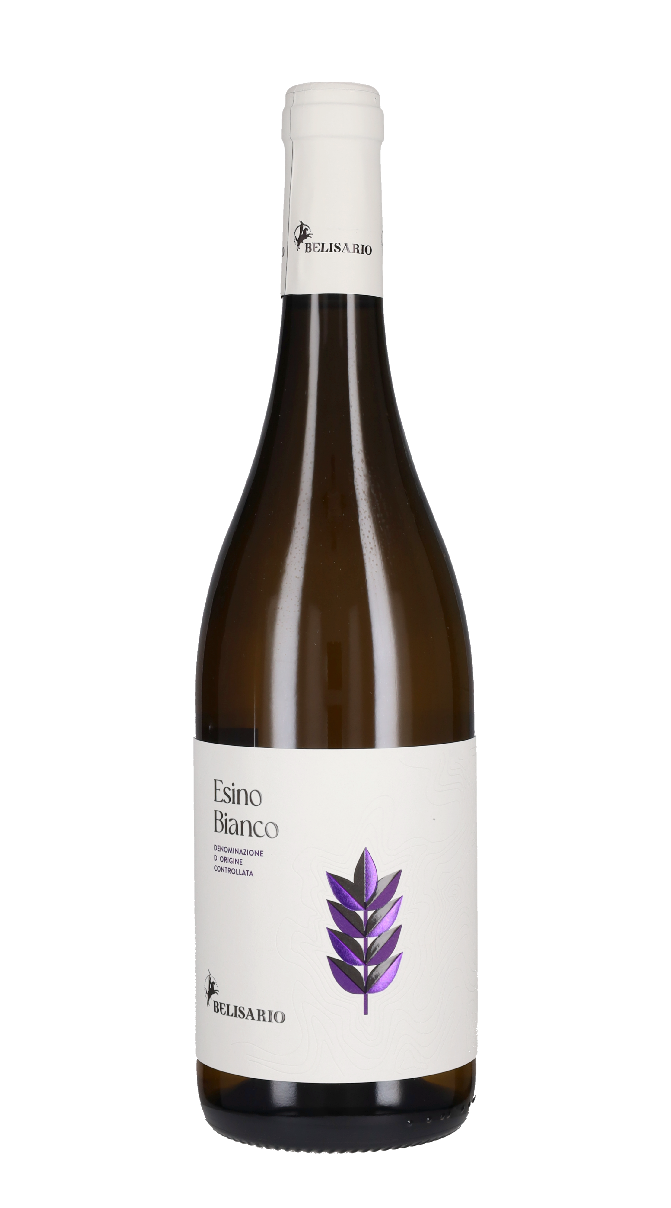 Esino Bianco Belisario