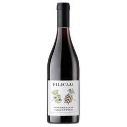 Villa da Filicaja Montefalco Sagrantino DOCG 2019 0,75 ℓ