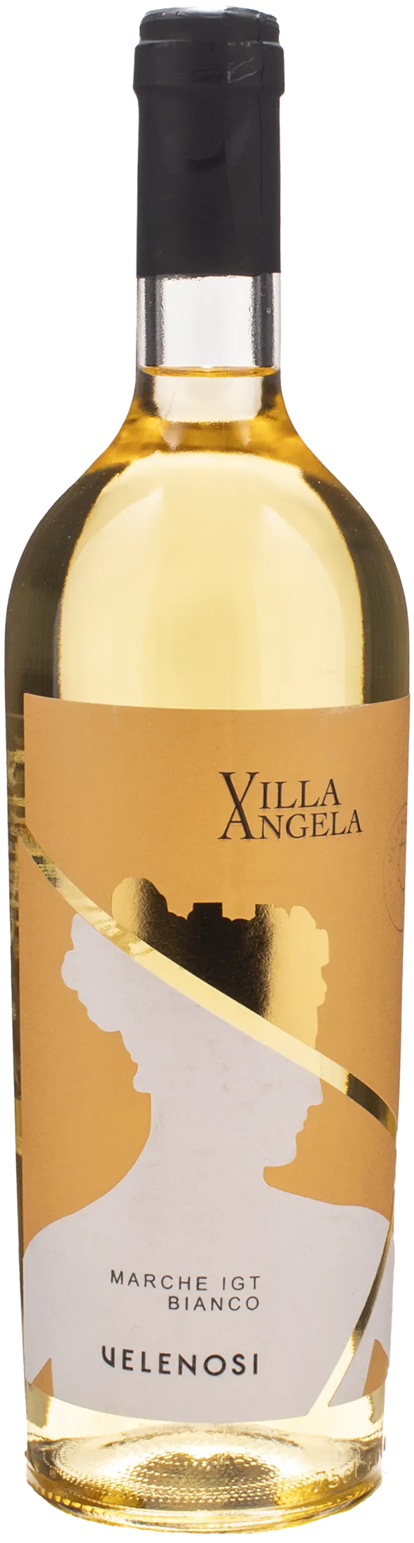 Villa Angela Marche Garofanata