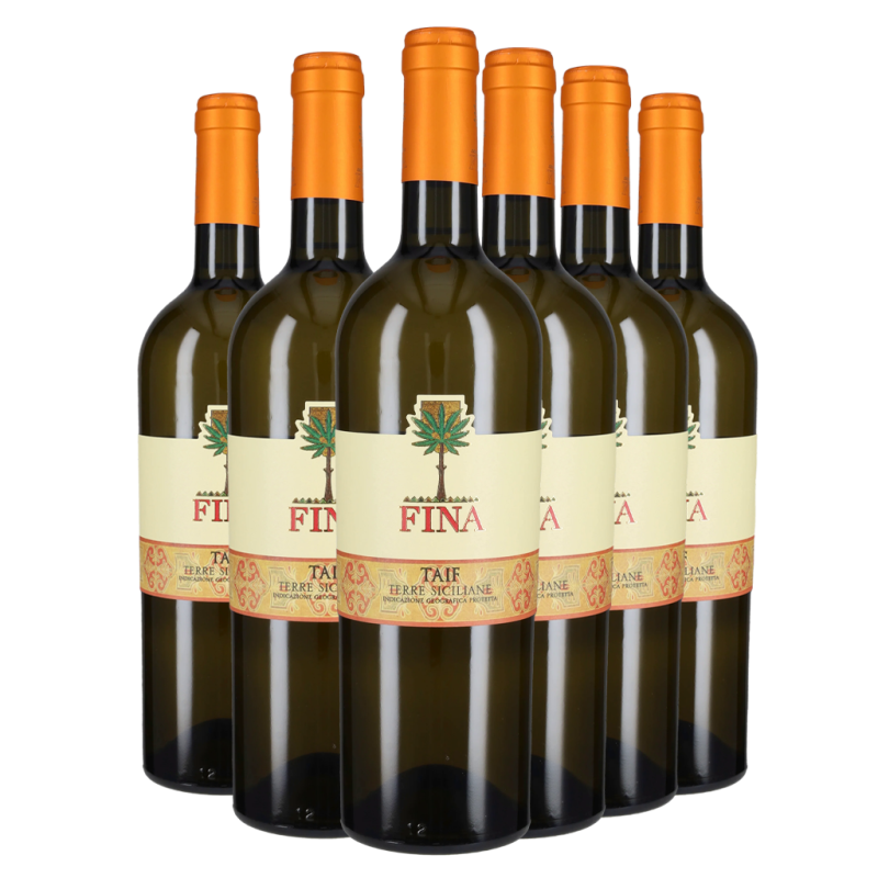 Box Zibibbo Terre Siciliane IGT Taif 2025 - Cantine Fina [6 bot]